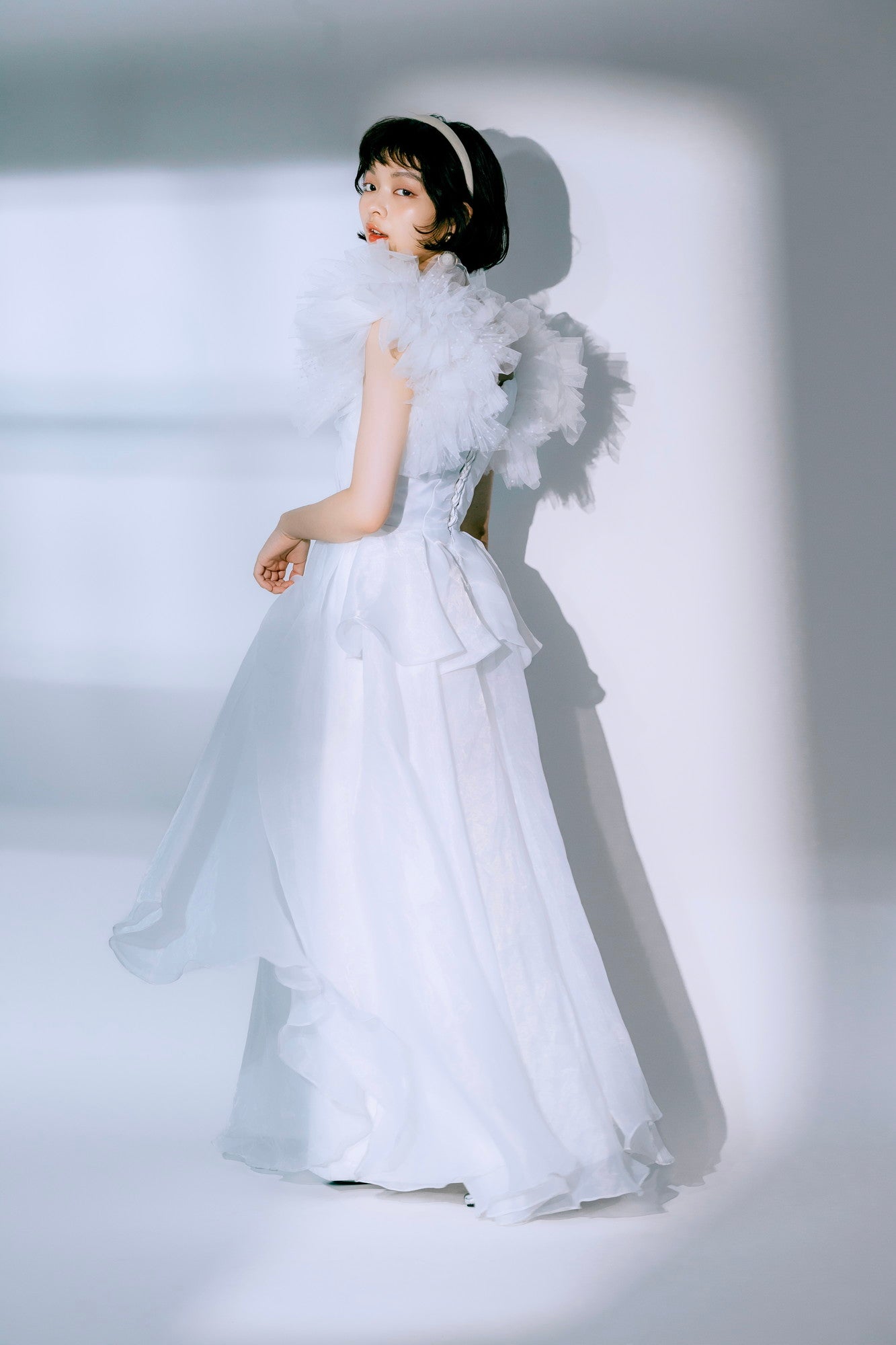 ruffled sleeves dress