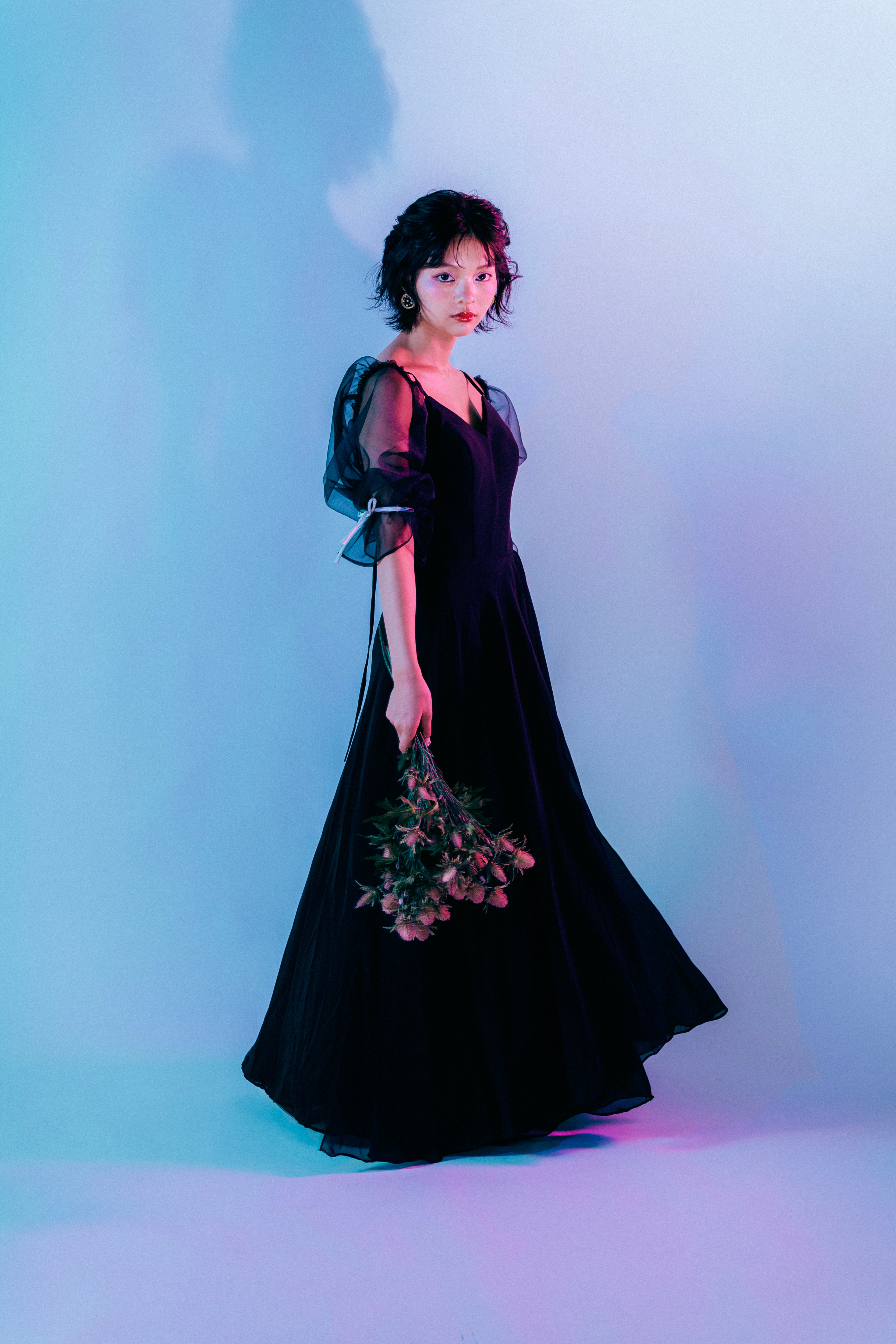 sheer puff sleeve dress(Black)